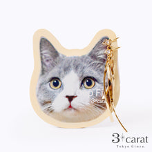 画像をギャラリービューアに読み込む, ループフィット LPF-PL007