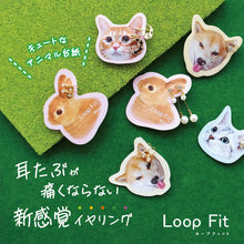 画像をギャラリービューアに読み込む, ループフィット LPF-PL003