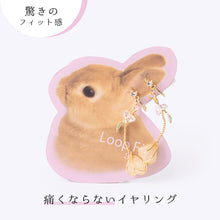 画像をギャラリービューアに読み込む, ループフィット LPF-PL003