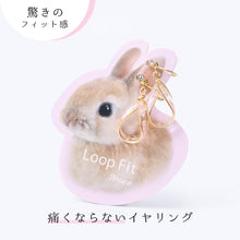 画像をギャラリービューアに読み込む, ループフィット LPF-PL012