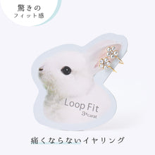 画像をギャラリービューアに読み込む, ループフィット LPF226