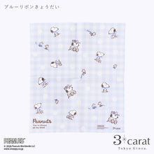 画像をギャラリービューアに読み込む, PEANUTS スヌーピー 王様のくもり止め 全3種類
