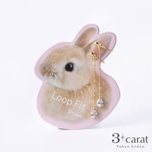 画像をギャラリービューアに読み込む, ループフィット LPF382