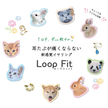 画像をギャラリービューアに読み込む, ループフィット LPF101