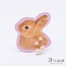 画像をギャラリービューアに読み込む, ループフィット LPF101