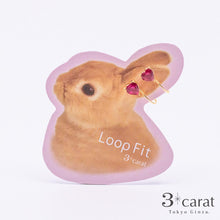 画像をギャラリービューアに読み込む, ループフィット LPF1016