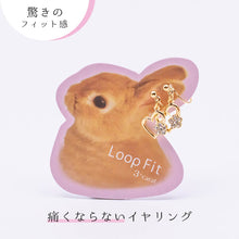 画像をギャラリービューアに読み込む, ループフィット LPF116