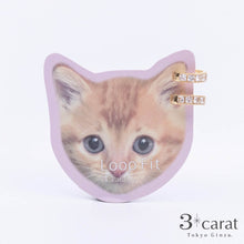 画像をギャラリービューアに読み込む, ループフィット ミニループ LPF1214