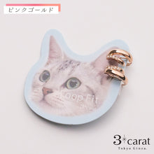 画像をギャラリービューアに読み込む, ループフィット LPF1485