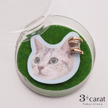 画像をギャラリービューアに読み込む, ループフィット LPF1485