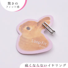 画像をギャラリービューアに読み込む, ループフィット LPF1487