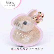 画像をギャラリービューアに読み込む, ループフィット LPF1505 全2色