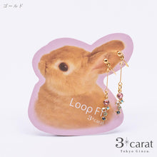 画像をギャラリービューアに読み込む, ループフィット LPF152