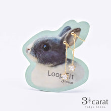 画像をギャラリービューアに読み込む, ループフィット LPF381