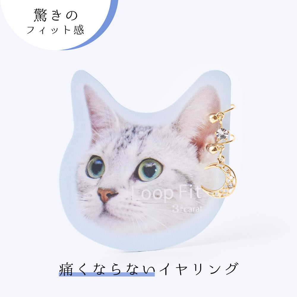 ループフィット LPF017