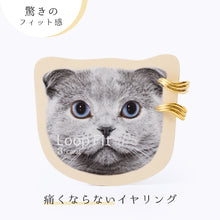 画像をギャラリービューアに読み込む, ループフィット ミニループ lpf1385
