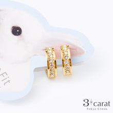 画像をギャラリービューアに読み込む, ループフィット ミニループ lpf1399
