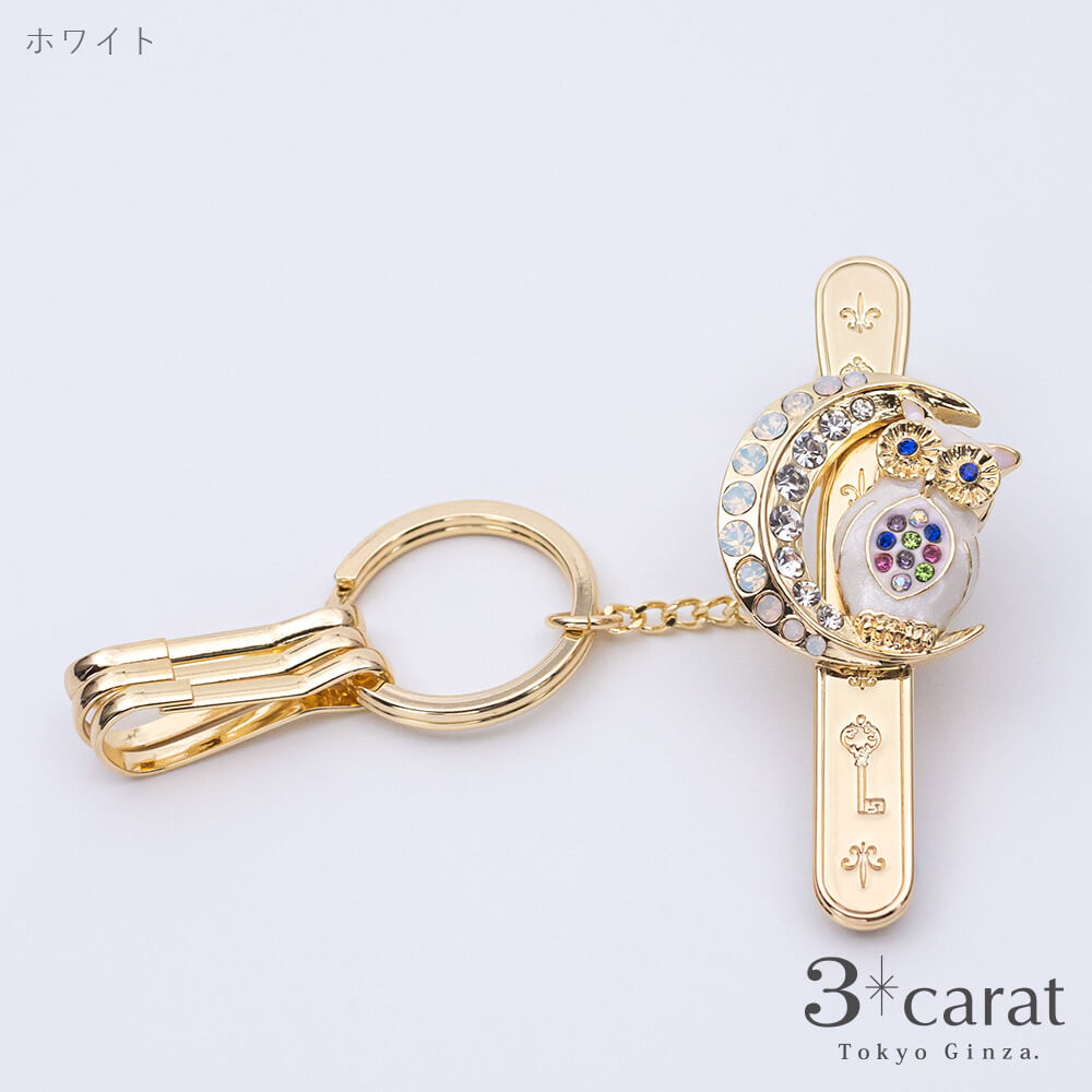 コブクロ9月8日　CooperロンT XLサイズ　カラビナ　キーホルダー Amazon.co.jp: コブクロ キーホルダー カラビナ 2点セット 九月
