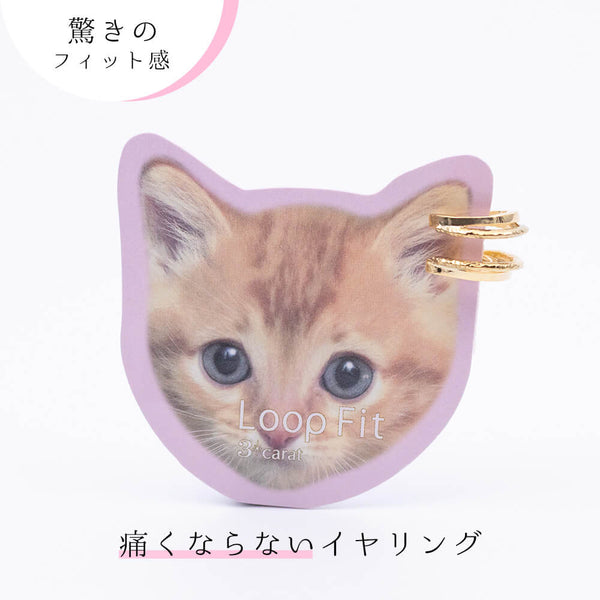 ループフィット ミニループ LPF1213