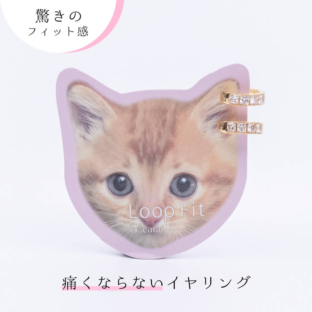 ループフィット ミニループ LPF1214