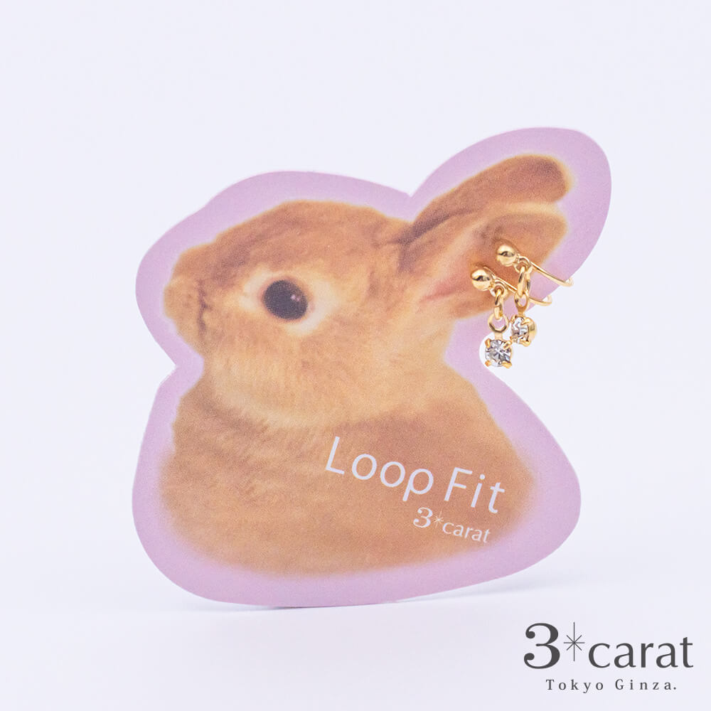 ループフィット LPF301